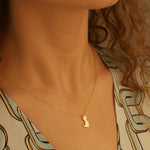 925 Sterling Silver No Internet Necklace