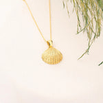 925 Sterling Silver 3D Seashell Necklace
