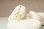 925 Sterling Silver Transgender Symbol Necklace
