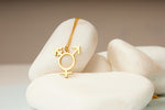 925 Sterling Silver Transgender Symbol Necklace