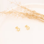 925 Sterling Silver Tiny Star Of David Earrings