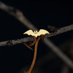925 Sterling Silver Bat Studs