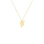 925 Sterling Silver Gay Symbol Necklace