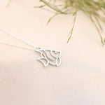 925 Sterling Silver Fish Balık Necklace