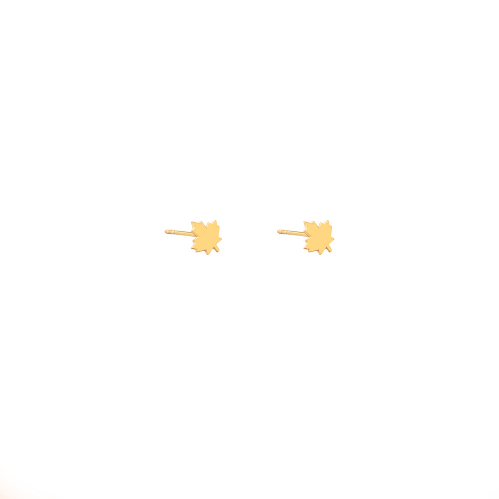 925 Sterling Silver Maple Leaf Studs