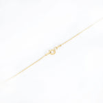 925 Sterling Silver Zodiac Coin Necklace